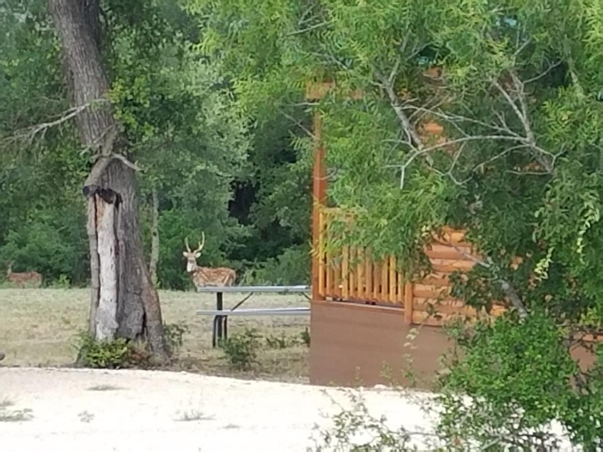 Al'S Hideaway Cabin And Rv Space, Llc Pipe Creek Exterior foto